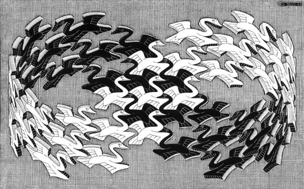 Escher Swans
