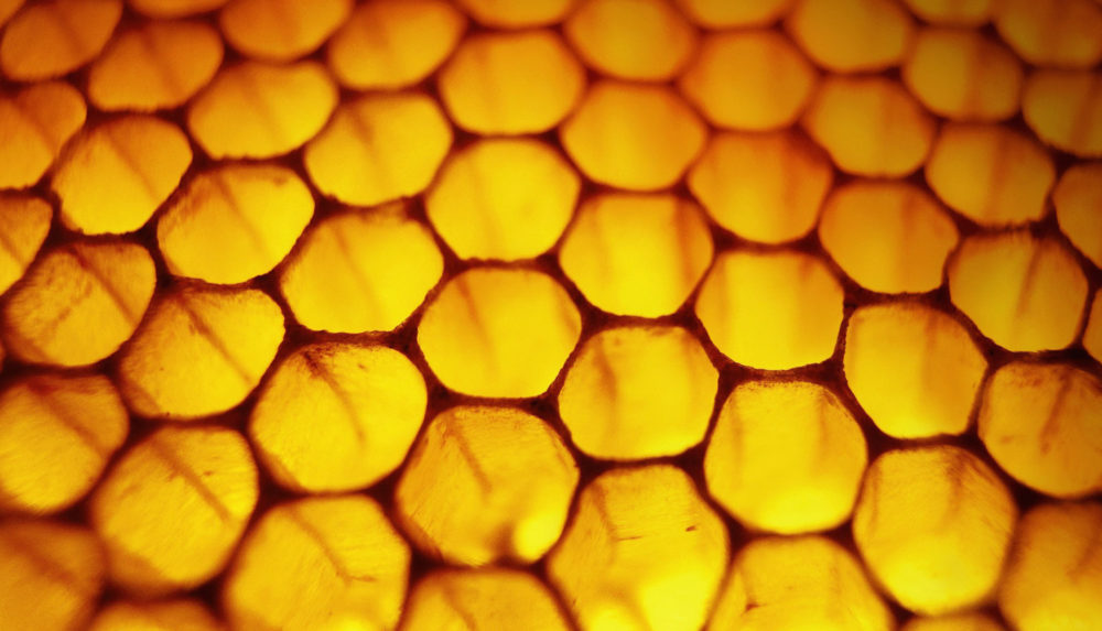 Honeycomb