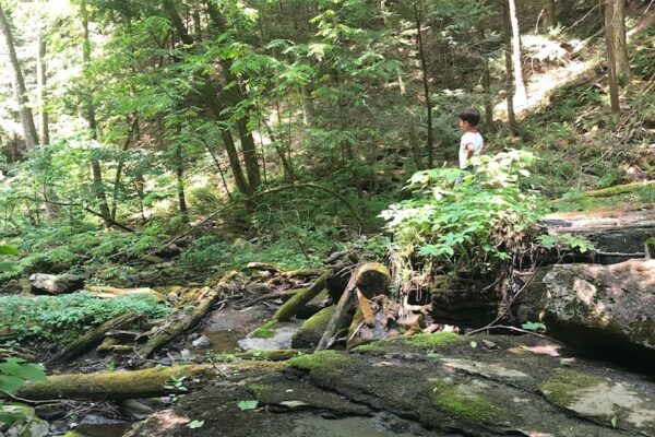 Henry In Deans Ravine