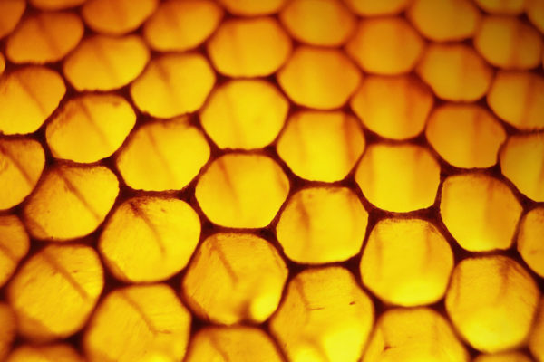 Honeycomb