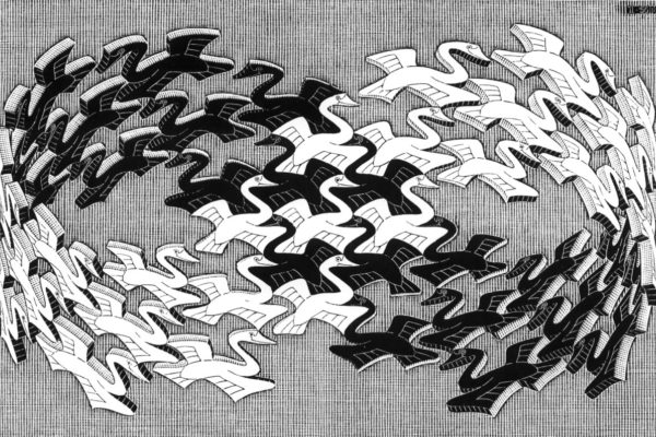 Escher Swans