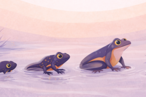 Chat GPT Image Apr 9 2026 04 19 15 PM 1