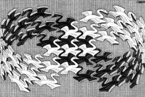 Escher Swans