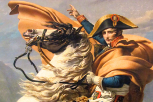 Napoleon Crop